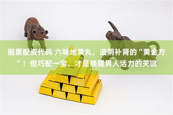 股票配资代码 六味地黄丸，滋阴补肾的“黄金方”！但巧配一宝，才是唤醒男人活力的关键