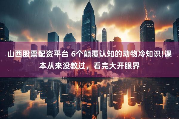 山西股票配资平台 6个颠覆认知的动物冷知识!课本从来没教过，看完大开眼界
